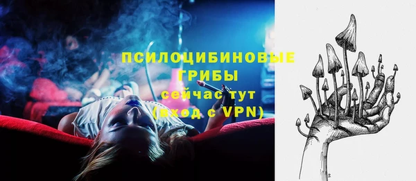 а пвп мука Кукмор