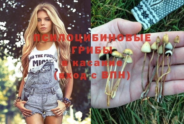 альфа пвп Кулебаки