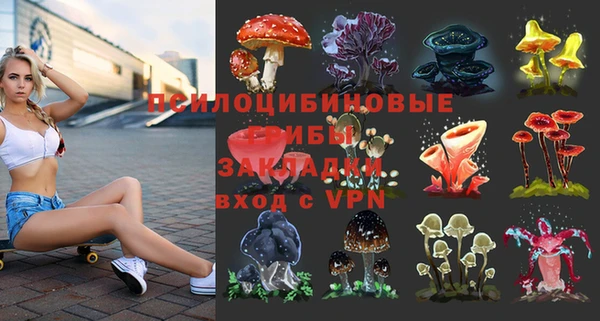 Альфа ПВП Куйбышев