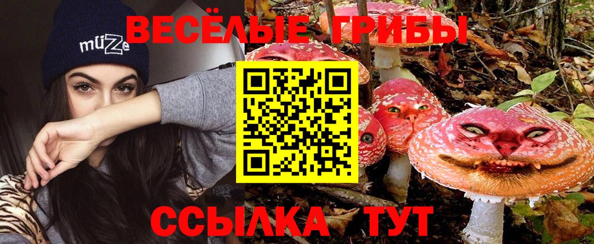 Галлюциногенные грибы GOLDEN TEACHER  Вход с VPN  Галлюциногенные грибы GOLDEN TEACHER  Комсомольск-на-Амуре 