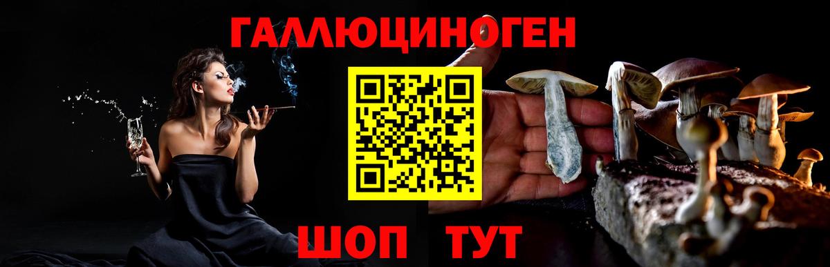 Галлюциногенные грибы Psilocybe Комсомольск-на-Амуре